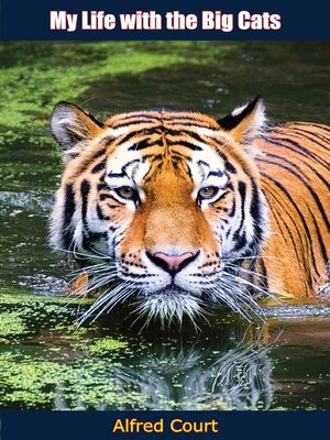 cover image of My Life with the Big Cats